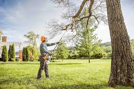 Best Tree Health Inspection  in Montura, FL